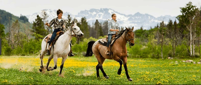 Confident plus-size woman riding Garston a horse through a field with a smile on her face.